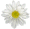 bullet.gif - 1.37 K